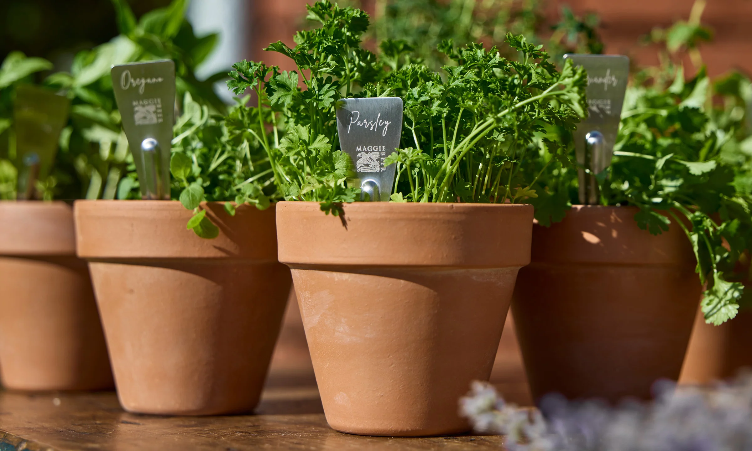 Maggie Beer Herb Stakes