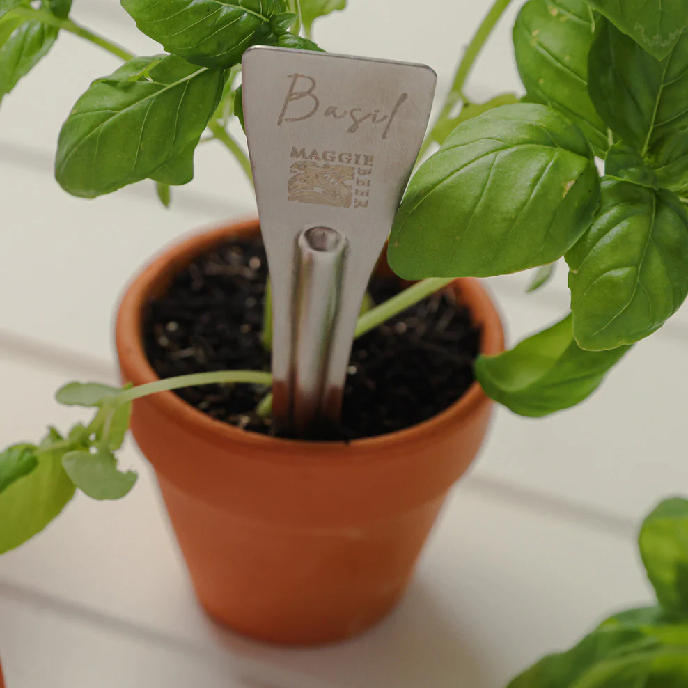 Maggie Beer Herb Stakes - Image 2