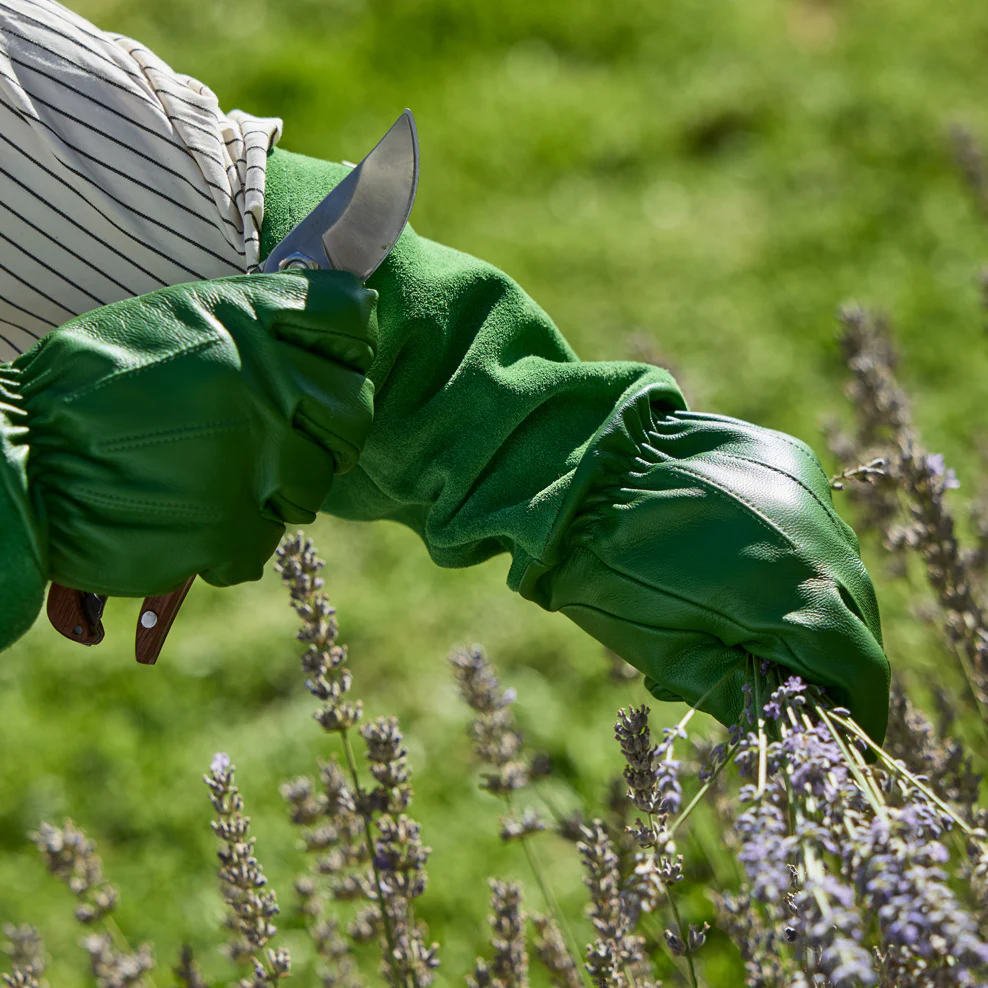 Maggie Living Leather Gardening Gloves - Image 5