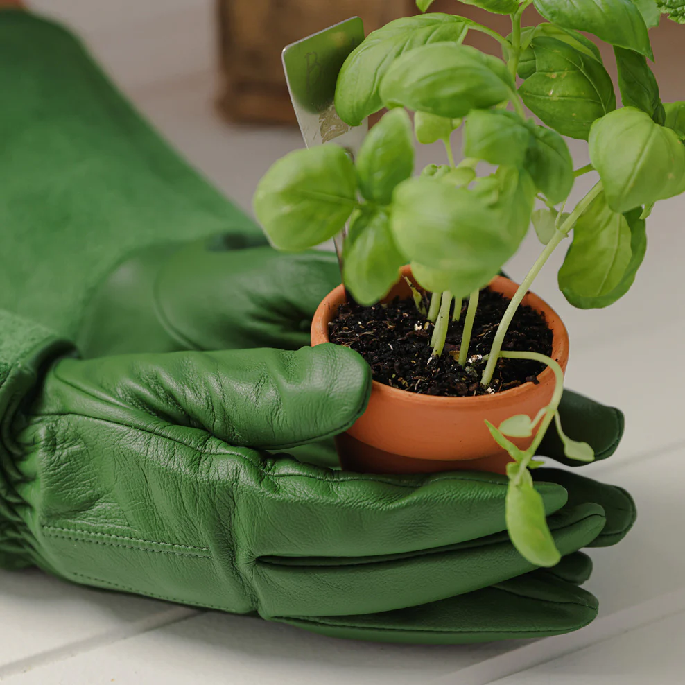 Maggie Living Leather Gardening Gloves - Image 6