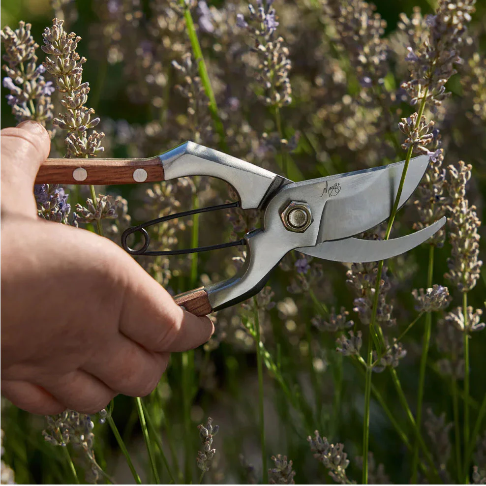Maggie's Herb Garden Made Easy - Image 3