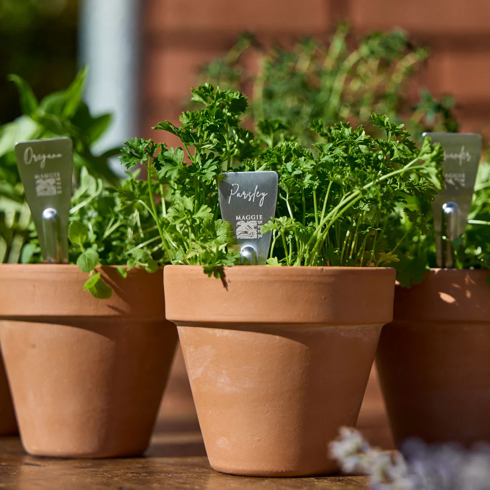 Maggie's Herb Garden Made Easy - Image 5