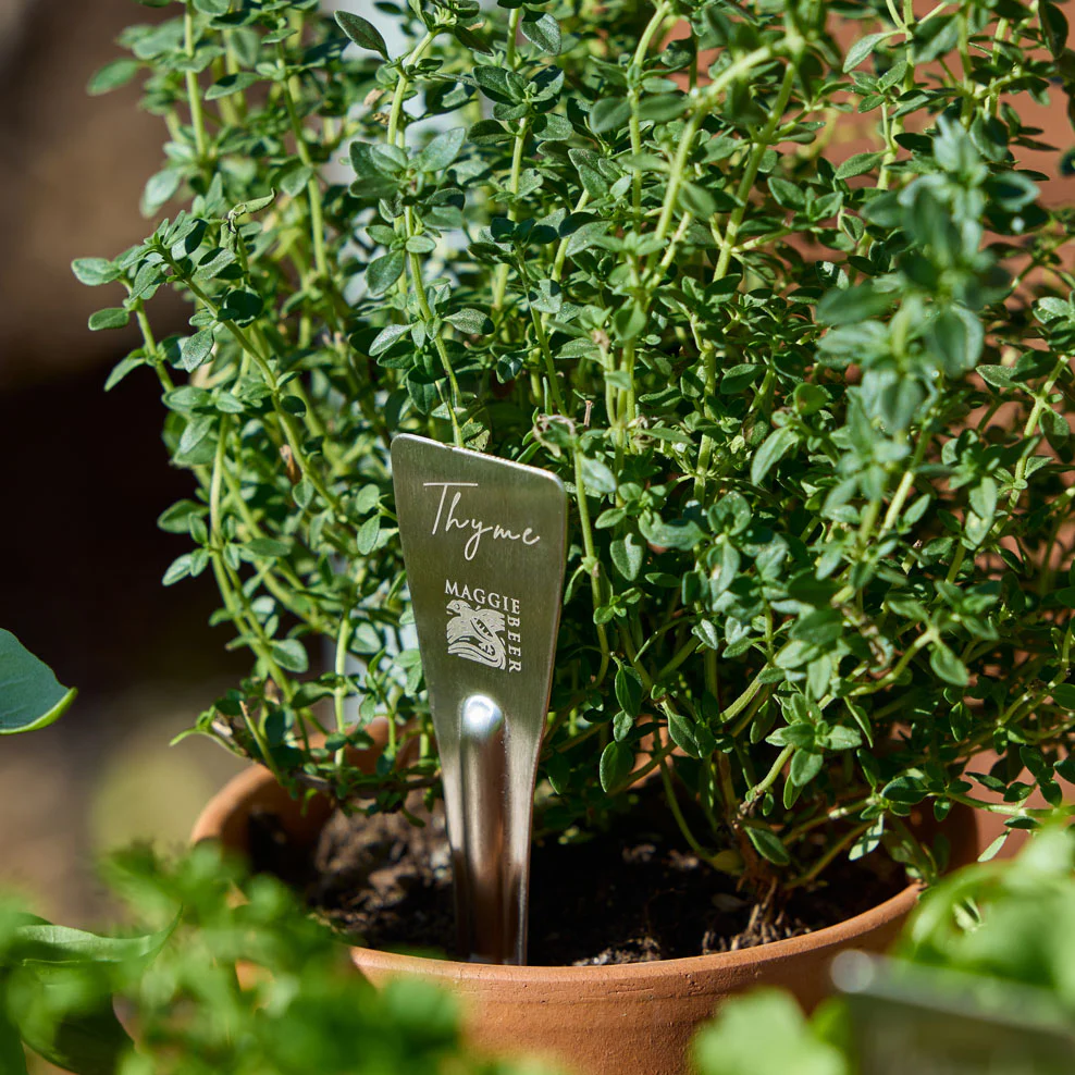Maggie's Herb Garden Made Easy - Image 7