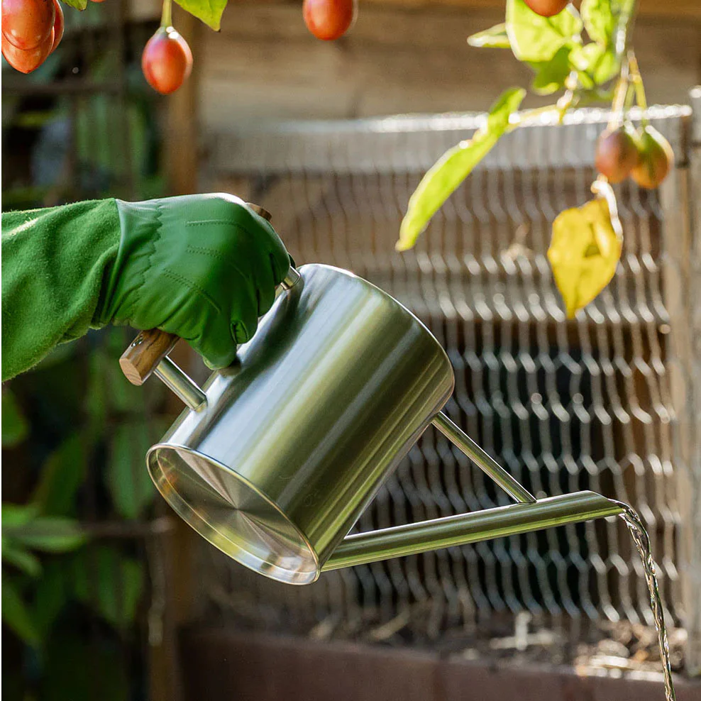 Maggie's Herb Garden Made Easy - Image 9